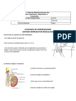 Atividade Formativa Do Sistema Reprodutor Masculino