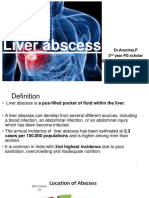 liverabscess-230131125930-4098dbbb