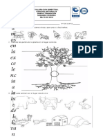 Bimestral Ciencias Naturales II Periodo