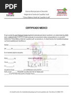 Formato Certificado Medico Imss para Imprimir en El | PDF | Informática