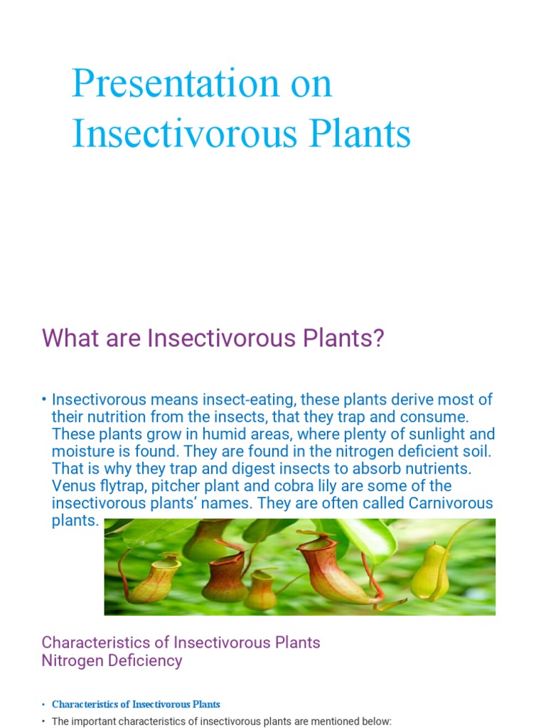 Ppt on Insectivorous Plants PDF Plants Botany