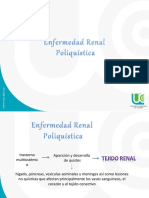 Enfermedad Poliqustica Renal