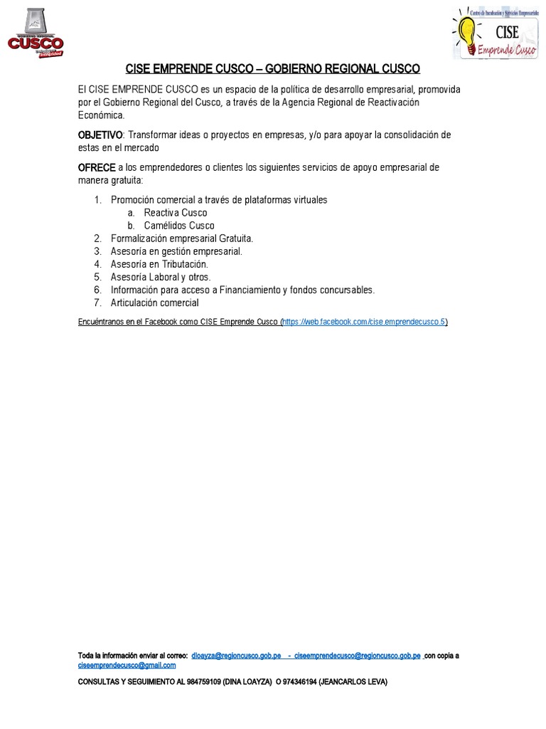 Formato Mype | PDF | Business
