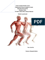 Sistema Ósteo-articular-Muscular: Relatório Experimental