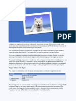 Projet 8-Animaux Domestiques-Word 2019