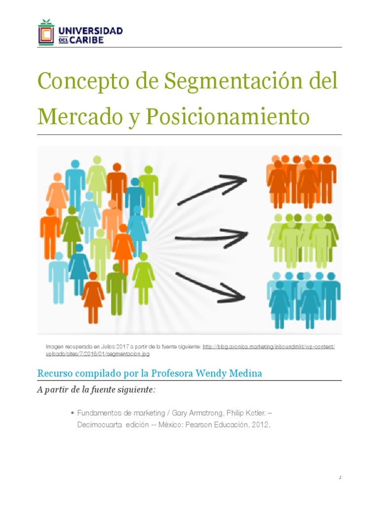Segmentación y Posicionamiento de Mercado | PDF | Marketing | Mercado ...
