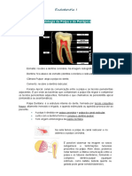 Endodontia I: Patologia da Polpa e do Periápice