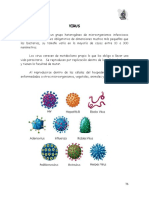 Virus: Características, clasificación y replicación