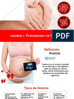 Anemia en El Embarazo Rmma