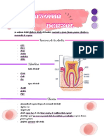 Guía Anatomía Dental