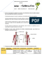 Cuestionario Sistema Óseo NOVILLO MARIAJ 2A