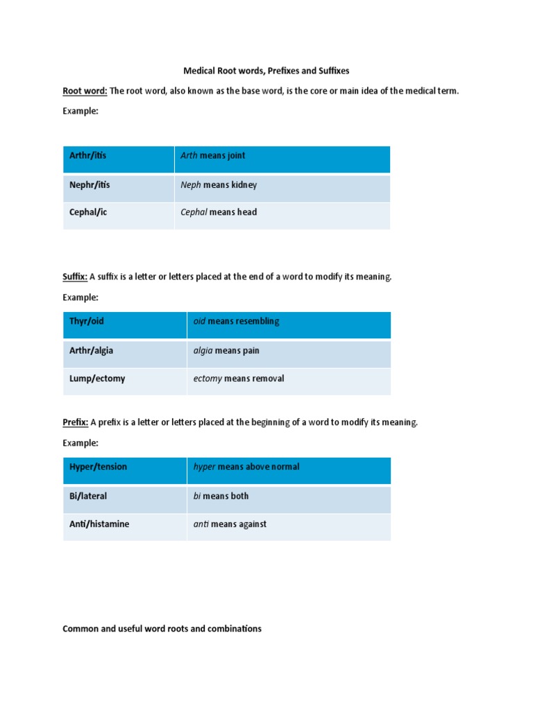 Medical Roots, Prefixes, and Suffixes | PDF | Neck | Uterus