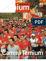 ternium10K2010