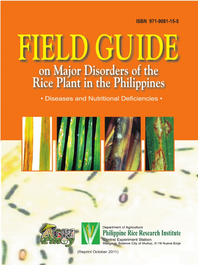 field-guide-on-major-disorders-of-the-rice-plant-in-the-philippines