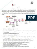 ae_gfbf11dp_teste2a (1)