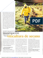 Investigacion Viticultura de Secano