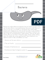 Bacteria Reading Worksheet