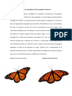 Características Fenotípicas y Genotípicas de Las Mariposas Monarcas
