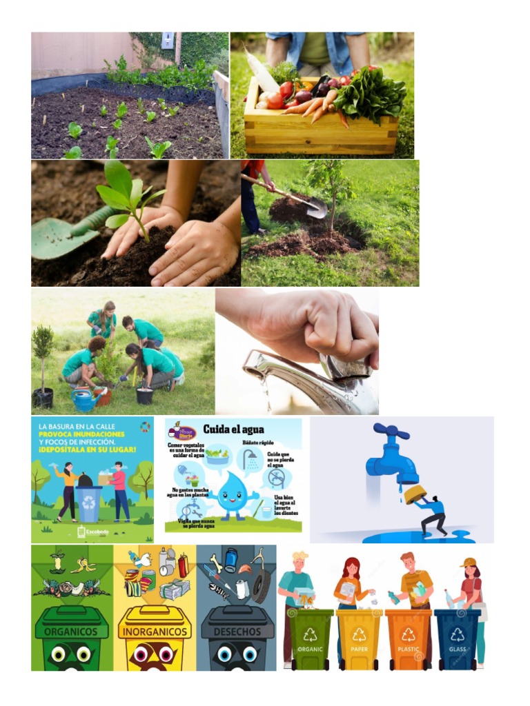 Imagenes Como Cuidar El Medio Ambiente | PDF
