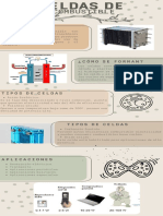 Celdas de Combustible