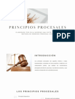 Principios Procesales