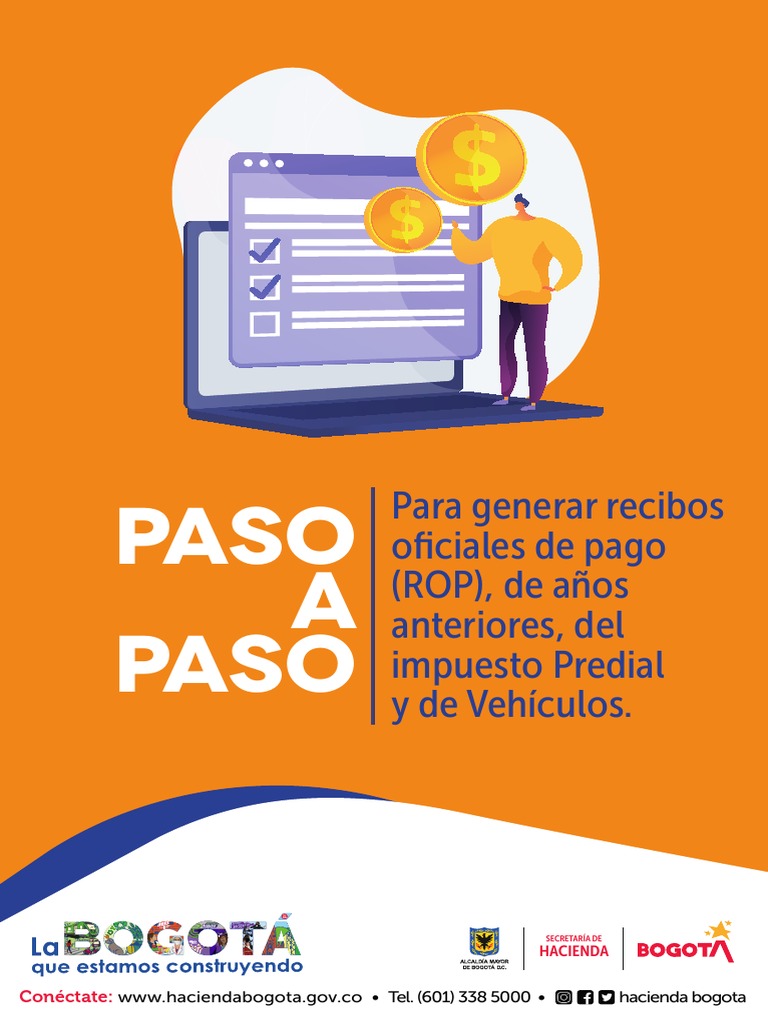 Instructivo Rops NP | PDF | Software | Informática