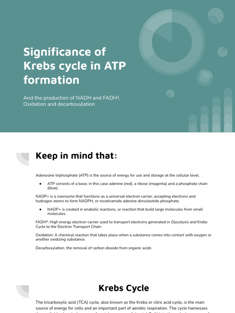 Significance of Krebs Cycle in ATP Formation: and The Production of ...