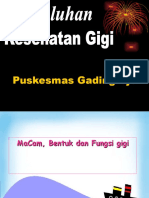 Penyuluhan Gigi