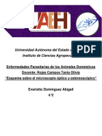 Practica 2 - Esquema Sobre El Microscopio Óptico y Estereoscópico