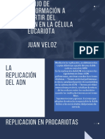 Flujo de Información A Partir Del ADN en La Célula Eucariota