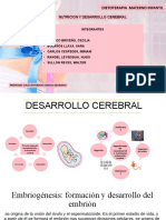 NUTRICION Y DESARROLLO CEREBRAL - GRUPO 2 XD