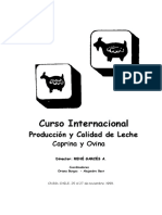 Curso Internacional Produccion y Calidad