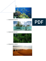 4 Gambar Ekosistem