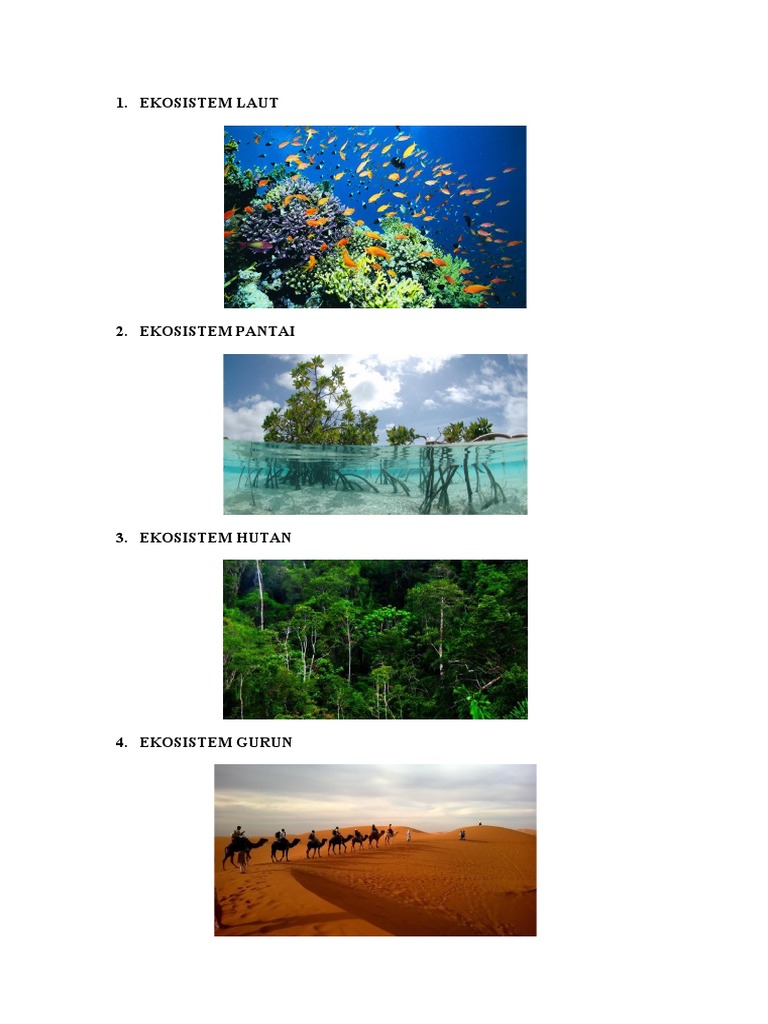 4 Gambar Ekosistem | PDF