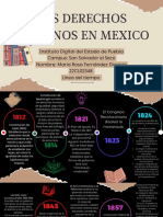 Los Derechos Humanos en Mexico  