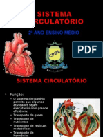 sistema cardiaco