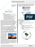 MERCOSUR y OPEP: uniones aduaneras y organizaciones petroleras
