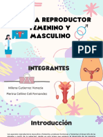 Sistema Reproductor Femenino y Masculino Grupo12