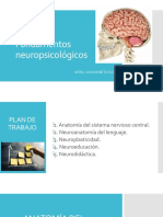 1 Cerebro y Neuroplasticidad