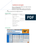 Insuficiencia Renal Aguda