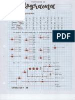 Construcción de Cladogramas