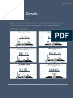 Practica Osmosis