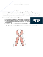 Examen Quimica 10