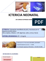 Ictericia neonatal causas