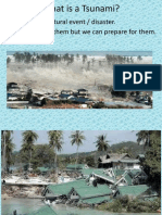 What is a Tsunami? How to Prepare