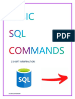 Basic SQL Commands