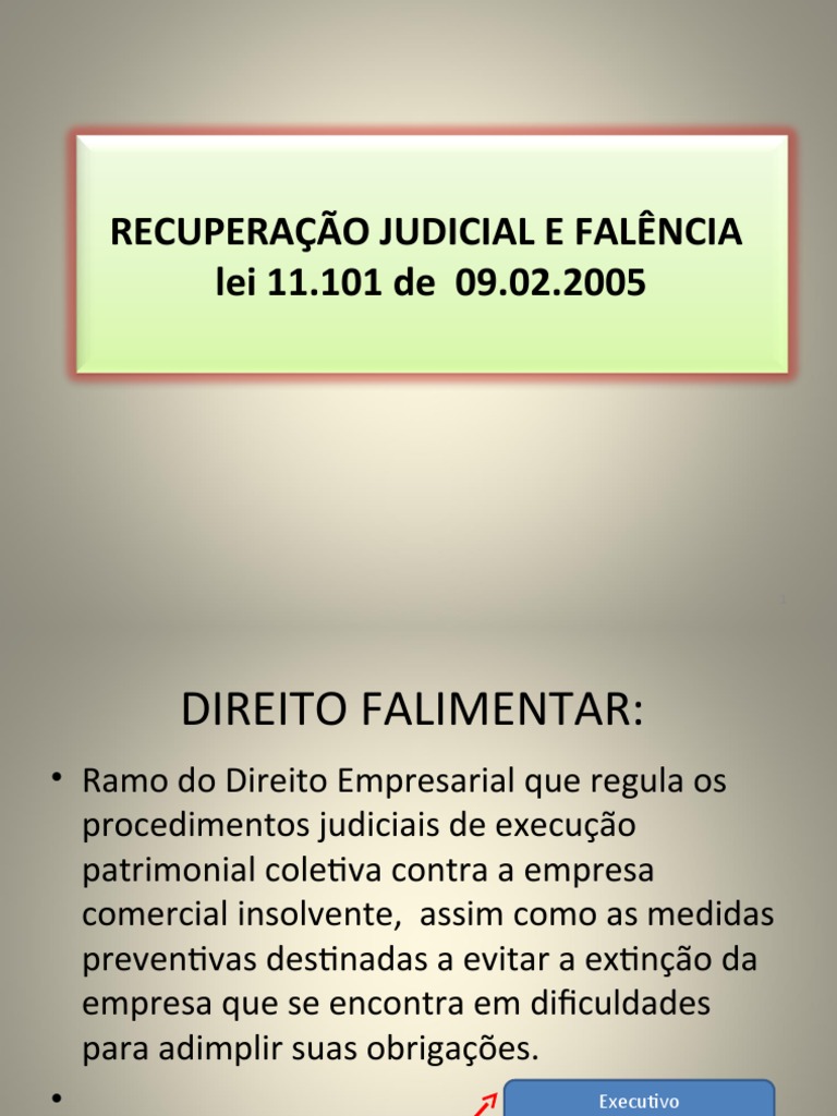Recuperação Judicial e Falência: Lei 11.101/2005 | PDF | Falência ...