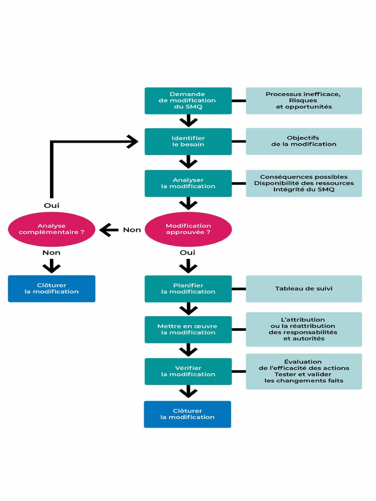 Processus de Gestion Des Modifications | PDF