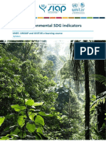 Environmental SDG Indicators Course