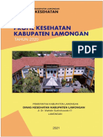 Profilkes Lamongan 2020